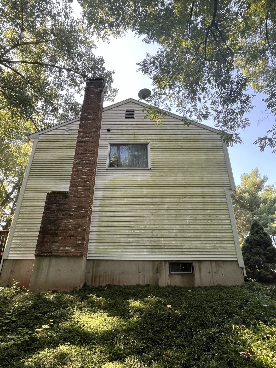 Exterior before professional cleaning
